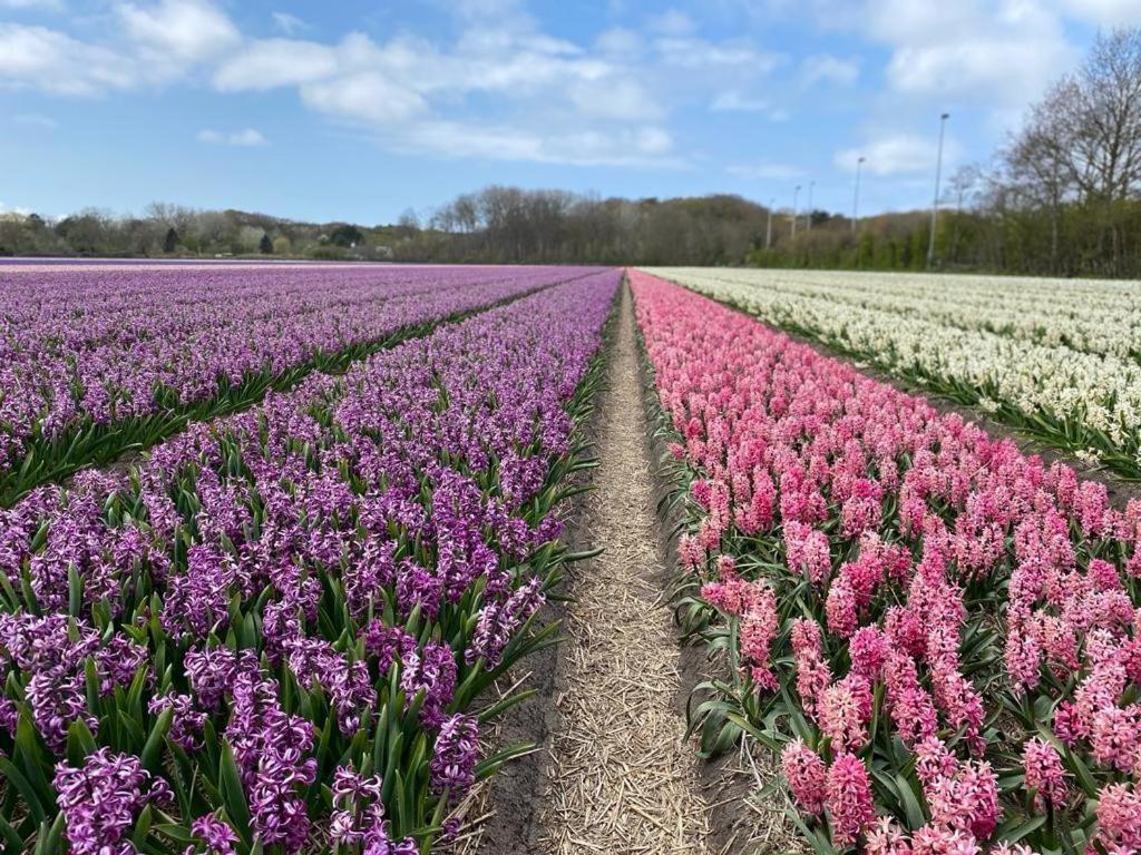 Slapen Aan Zee By Droomvilla Sint Maarten Bagian luar foto